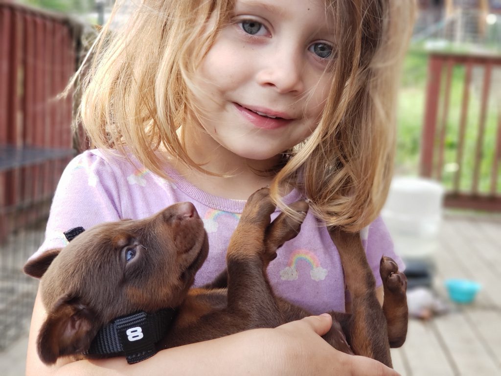 a little girl carrying a puppy